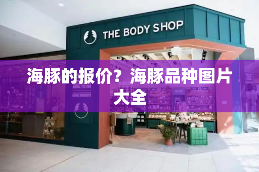 海豚的报价？海豚品种图片大全