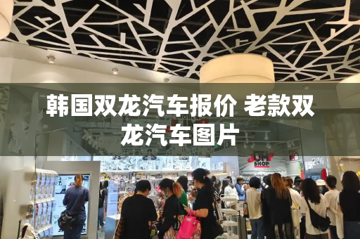 韩国双龙汽车报价 老款双龙汽车图片