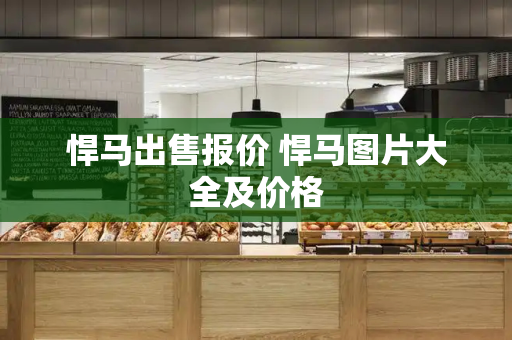 悍马出售报价 悍马图片大全及价格