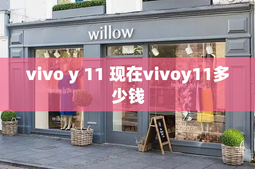 vivo y 11 现在vivoy11多少钱
