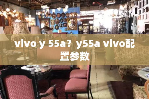 vivo y 55a？y55a vivo配置参数-第1张图片-星选测评