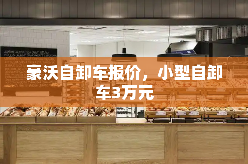 豪沃自卸车报价，小型自卸车3万元