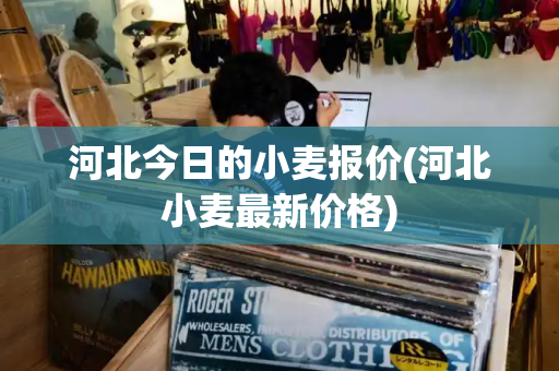 河北今日的小麦报价(河北小麦最新价格)