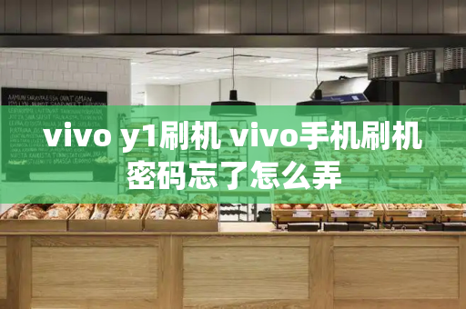 vivo y1刷机 vivo手机刷机密码忘了怎么弄