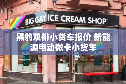 黑豹双排小货车报价 新能源电动微卡小货车