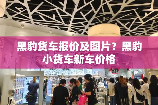 黑豹货车报价及图片？黑豹小货车新车价格-第1张图片-星选测评