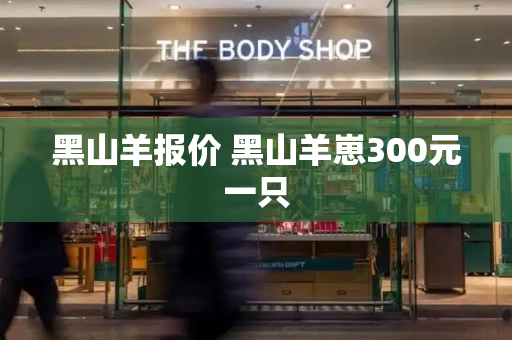 黑山羊报价 黑山羊崽300元一只