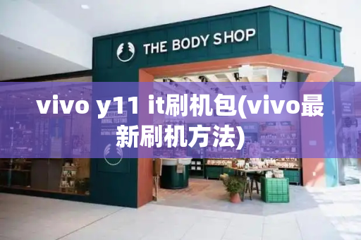 vivo y11 it刷机包(vivo最新刷机方法)-第1张图片-星选测评