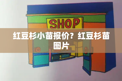 红豆杉小苗报价？红豆杉苗图片-第1张图片-星选测评