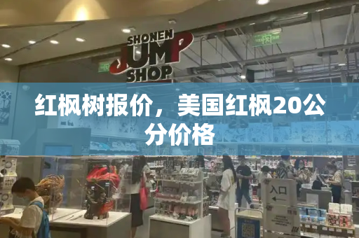 红枫树报价，美国红枫20公分价格-第1张图片-星选测评