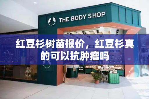 红豆杉树苗报价，红豆杉真的可以抗肿瘤吗
