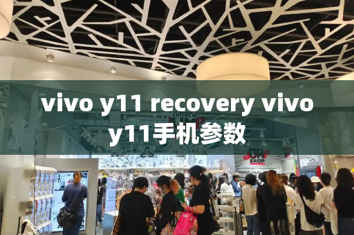 vivo y11 recovery vivoy11手机参数