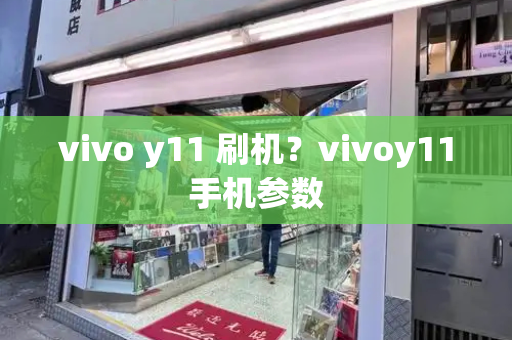 vivo y11 刷机？vivoy11手机参数