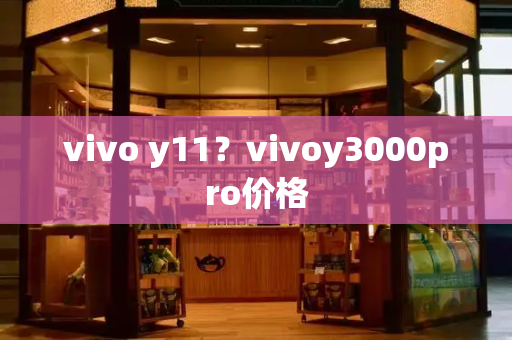 vivo y11？vivoy3000pro价格-第1张图片-星选测评