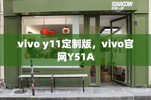 vivo y11定制版，vivo官网Y51A