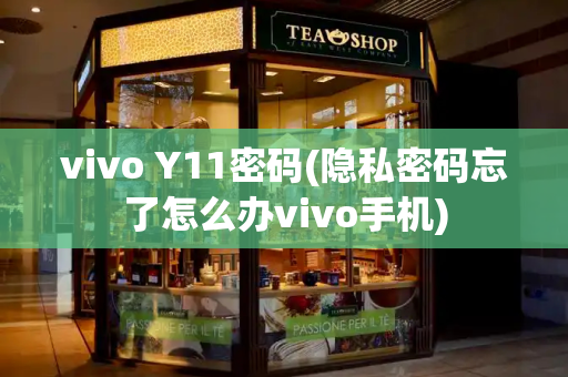 vivo Y11密码(隐私密码忘了怎么办vivo手机)