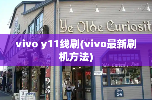vivo y11线刷(vivo最新刷机方法)