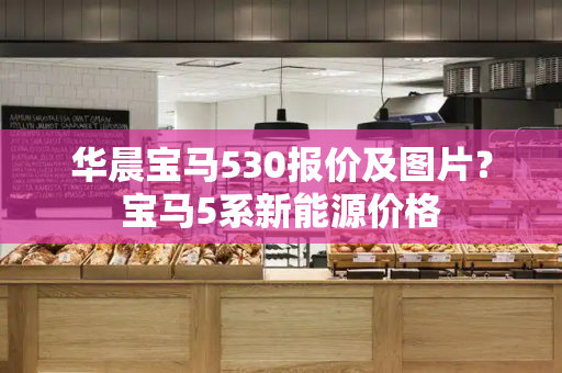 华晨宝马530报价及图片？宝马5系新能源价格