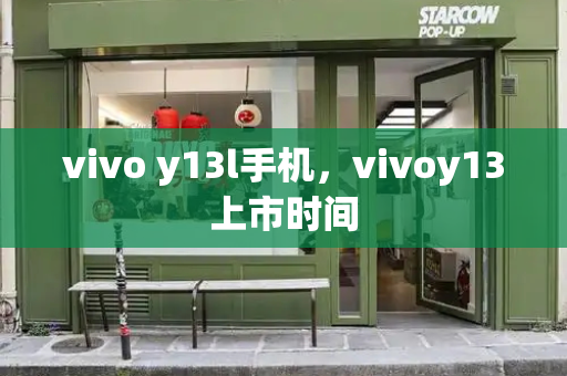 vivo y13l手机，vivoy13上市时间-第1张图片-星选测评