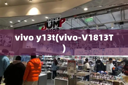 vivo y13t(vivo-V1813T)-第1张图片-星选测评
