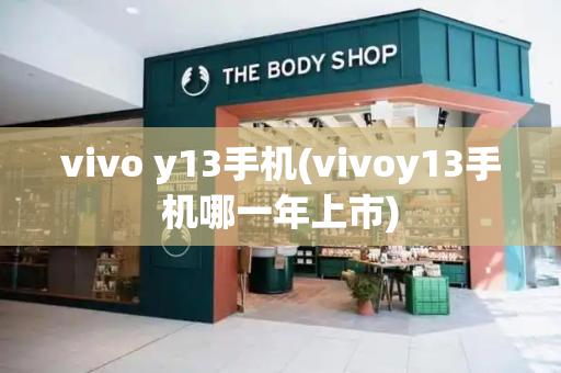 vivo y13手机(vivoy13手机哪一年上市)