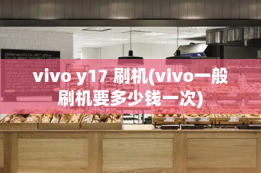 vivo y17 刷机(vivo一般刷机要多少钱一次)-第1张图片-星选测评