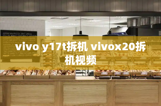 vivo y17t拆机 vivox20拆机视频