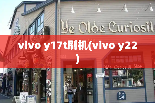 vivo y17t刷机(vivo y22)