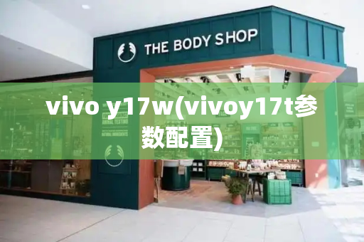 vivo y17w(vivoy17t参数配置)