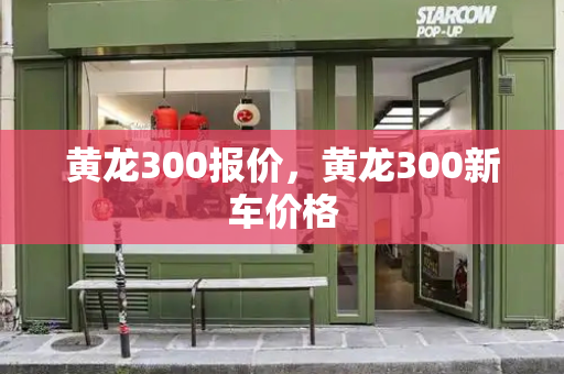 黄龙300报价，黄龙300新车价格