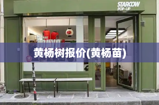 黄杨树报价(黄杨苗)