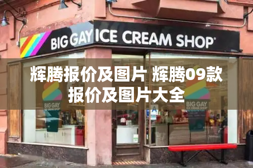 辉腾报价及图片 辉腾09款报价及图片大全-第1张图片-星选测评