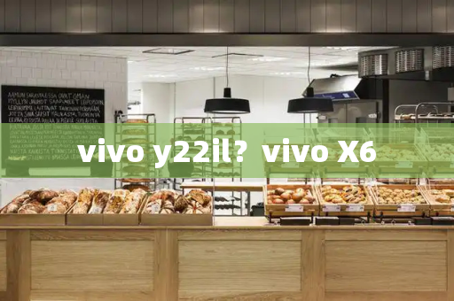 vivo y22il？vivo X6