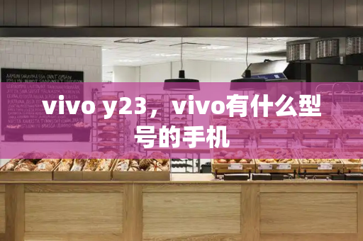 vivo y23，vivo有什么型号的手机