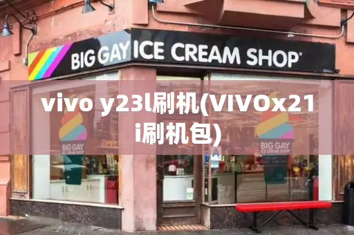 vivo y23l刷机(VIVOx21i刷机包)-第1张图片-星选测评