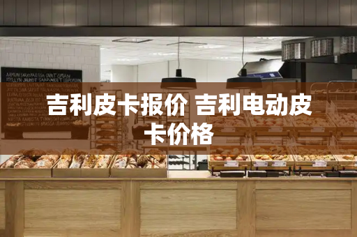 吉利皮卡报价 吉利电动皮卡价格-第1张图片-星选测评
