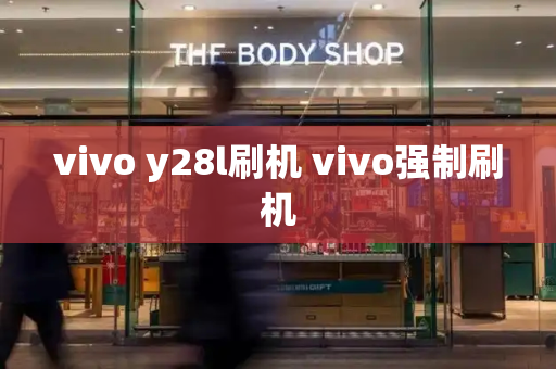 vivo y28l刷机 vivo强制刷机-第1张图片-星选测评