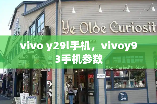 vivo y29l手机，vivoy93手机参数