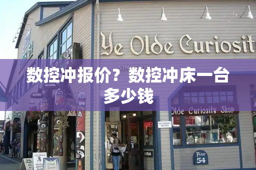 数控冲报价？数控冲床一台多少钱