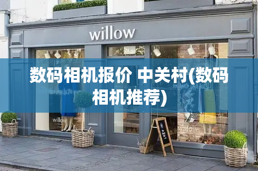 数码相机报价 中关村(数码相机推荐)
