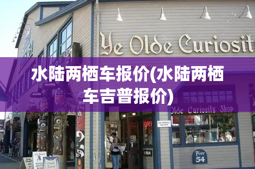 水陆两栖车报价(水陆两栖车吉普报价)-第1张图片-星选测评