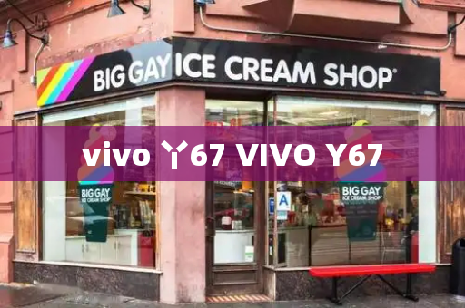 vivo 丫67 VIVO Y67-第1张图片-星选测评