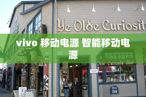 vivo 移动电源 智能移动电源
