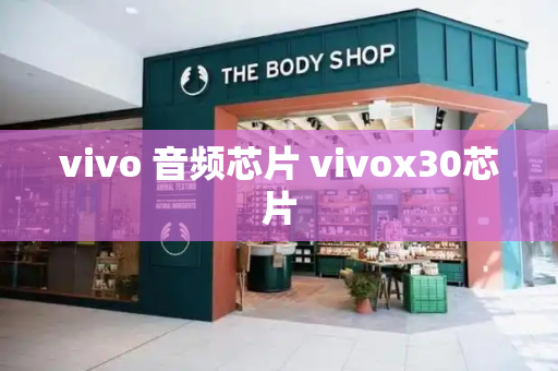 vivo 音频芯片 vivox30芯片