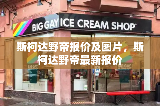 斯柯达野帝报价及图片，斯柯达野帝最新报价-第1张图片-星选测评