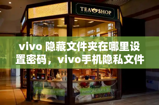 vivo 隐藏文件夹在哪里设置密码，vivo手机隐私文件在哪里查找-第1张图片-星选测评