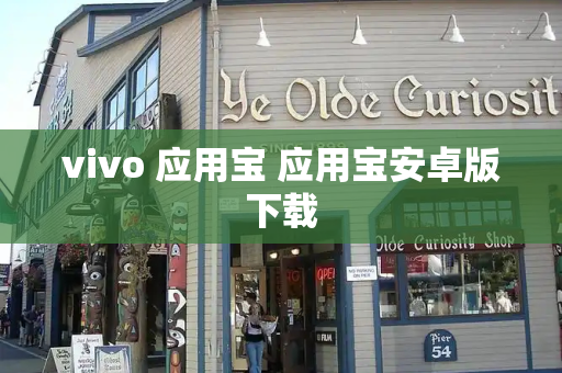 vivo 应用宝 应用宝安卓版下载-第1张图片-星选测评