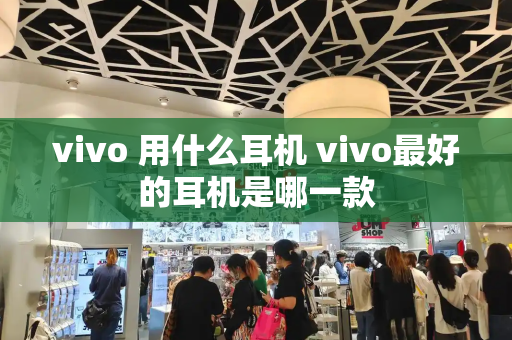 vivo 用什么耳机 vivo最好的耳机是哪一款