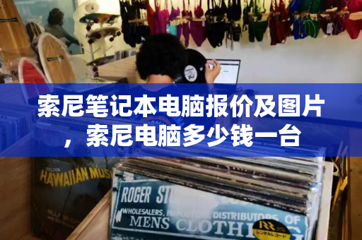 索尼笔记本电脑报价及图片，索尼电脑多少钱一台-第1张图片-星选测评