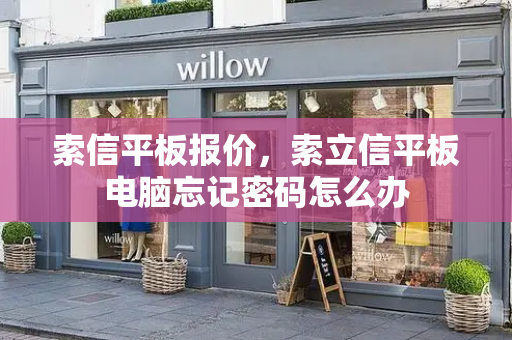 索信平板报价，索立信平板电脑忘记密码怎么办-第1张图片-星选测评